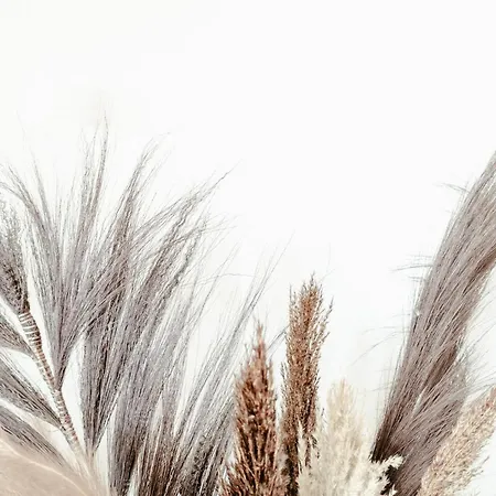 Zonnehoek 75 Appartamento Egmond aan Zee