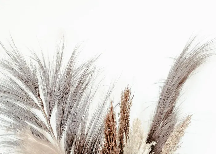 Zonnehoek 75 아파트 에크몬드안지